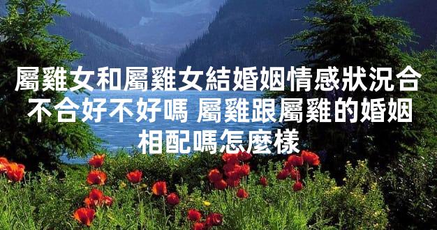 屬雞女和屬雞女結婚姻情感狀況合不合好不好嗎 屬雞跟屬雞的婚姻相配嗎怎麼